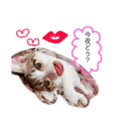 ❤愛しのすーたん❤（個別スタンプ：6）