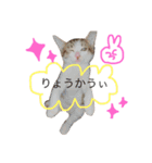 ❤愛しのすーたん❤（個別スタンプ：9）