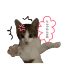 ❤愛しのすーたん❤（個別スタンプ：10）