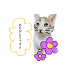 ❤愛しのすーたん❤（個別スタンプ：11）