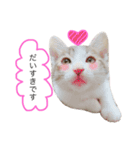 ❤愛しのすーたん❤（個別スタンプ：14）