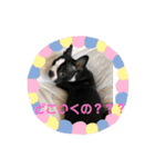 うちの さぶ！（個別スタンプ：9）