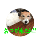 家族たちのスタンプです（個別スタンプ：6）