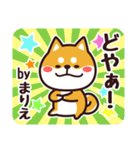 毎日使える！柴犬まりえ（個別スタンプ：31）