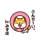 毎日使える！柴犬みずほ（個別スタンプ：13）