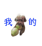 GaBは阿呆ですね（個別スタンプ：13）