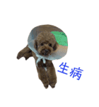 GaBは阿呆ですね（個別スタンプ：18）