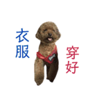 GaBは阿呆ですね（個別スタンプ：24）