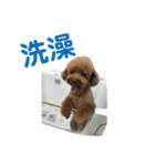 GaBは阿呆ですね（個別スタンプ：29）