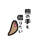 茶ぐまの熊野さん（個別スタンプ：31）
