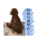 家族スタンプ第2弾（個別スタンプ：11）