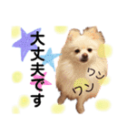 家族スタンプ第2弾（個別スタンプ：14）