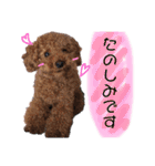 家族スタンプ第2弾（個別スタンプ：15）