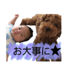 家族スタンプ第2弾（個別スタンプ：17）