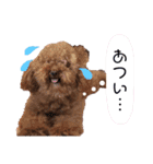 家族スタンプ第2弾（個別スタンプ：23）