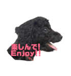ララ＆ルルと時々チョコ2（個別スタンプ：14）