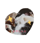 小梅さんの1日（個別スタンプ：1）
