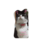 小梅さんの1日（個別スタンプ：5）