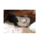 小梅さんの1日（個別スタンプ：7）