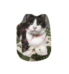 小梅さんの1日（個別スタンプ：8）