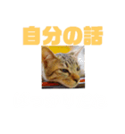 くちのわりぃ猫（個別スタンプ：2）