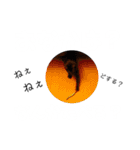 くちのわりぃ猫（個別スタンプ：20）