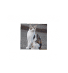 くちのわりぃ猫（個別スタンプ：22）