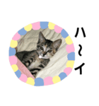 たまねえさん1（個別スタンプ：1）