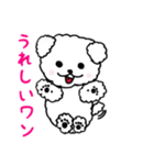 白プードル♡ミルク（個別スタンプ：1）