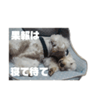 こだ＆ぽこ（個別スタンプ：2）