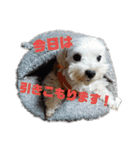 こだ＆ぽこ（個別スタンプ：3）