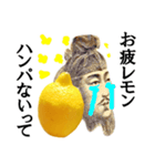 【実写】お疲レモン（個別スタンプ：7）