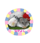 ジャンガリアンハムスターのルル（個別スタンプ：6）