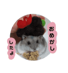 ジャンガリアンハムスターのルル（個別スタンプ：15）