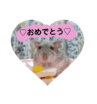 ジャンガリアンハムスターのルル（個別スタンプ：18）