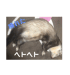 ふぇれはむず2（個別スタンプ：4）