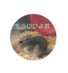 ふぇれはむず2（個別スタンプ：13）