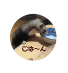 ふぇれはむず2（個別スタンプ：14）