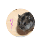 ふぇれはむず2（個別スタンプ：18）