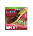 ふぇれはむず2（個別スタンプ：20）