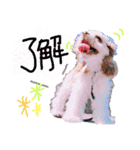 宝物達！！！（個別スタンプ：6）