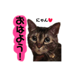 それいけ！まりんちゃん3（個別スタンプ：3）