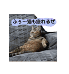 それいけ！まりんちゃん3（個別スタンプ：9）