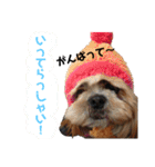 それいけ！まりんちゃん3（個別スタンプ：10）
