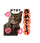 それいけ！まりんちゃん3（個別スタンプ：12）