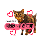 それいけ！まりんちゃん3（個別スタンプ：16）