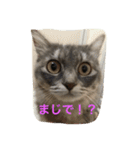 鍼灸マッサージ治療院LifeBuddy イフちゃん（個別スタンプ：1）