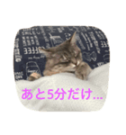 鍼灸マッサージ治療院LifeBuddy イフちゃん（個別スタンプ：3）