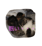 鍼灸マッサージ治療院LifeBuddy イフちゃん（個別スタンプ：4）