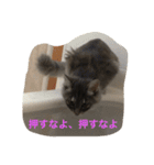 鍼灸マッサージ治療院LifeBuddy イフちゃん（個別スタンプ：8）
